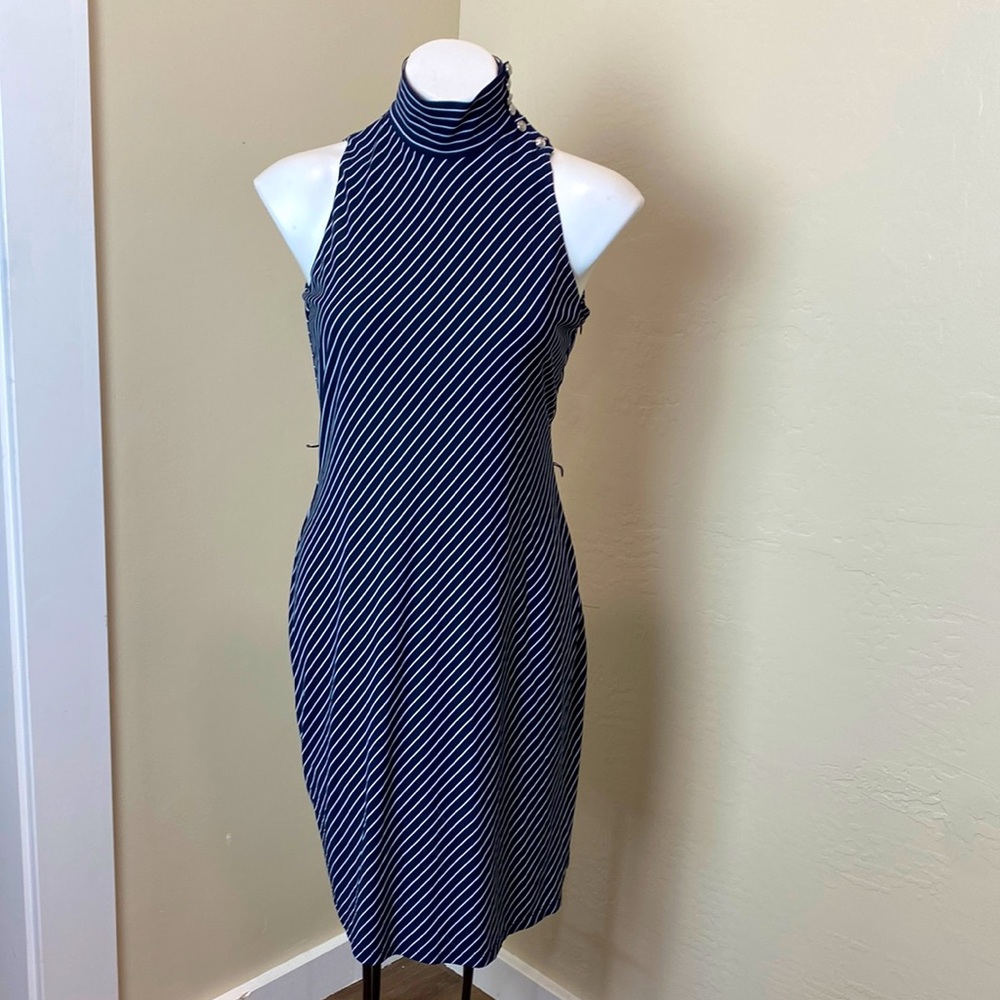 Lauren Ralph Lauren Pinstripe Dress